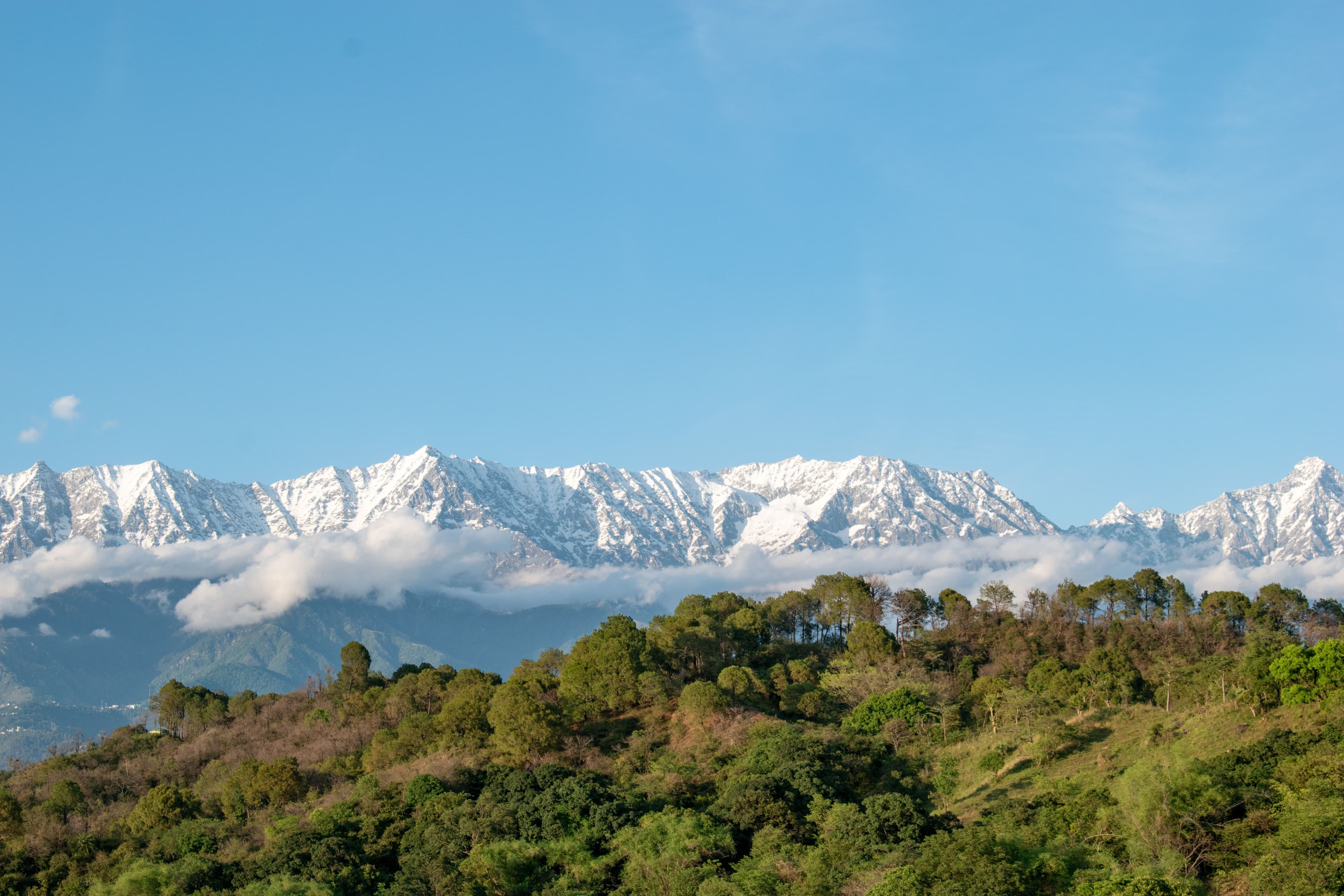 Dharamshala & Dalhousie, Himachal Pradesh