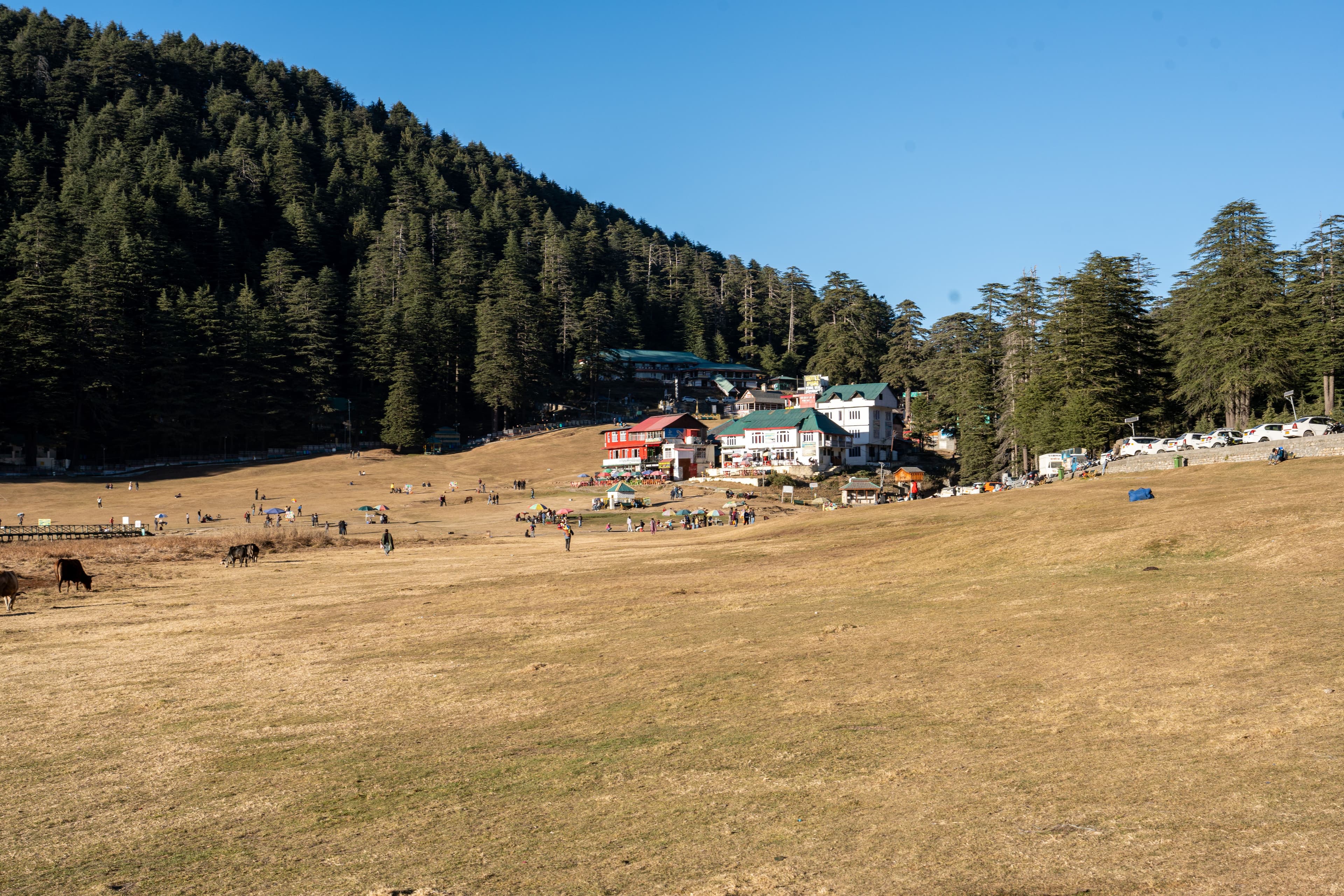 Dharamshala & Dalhousie travel view 5