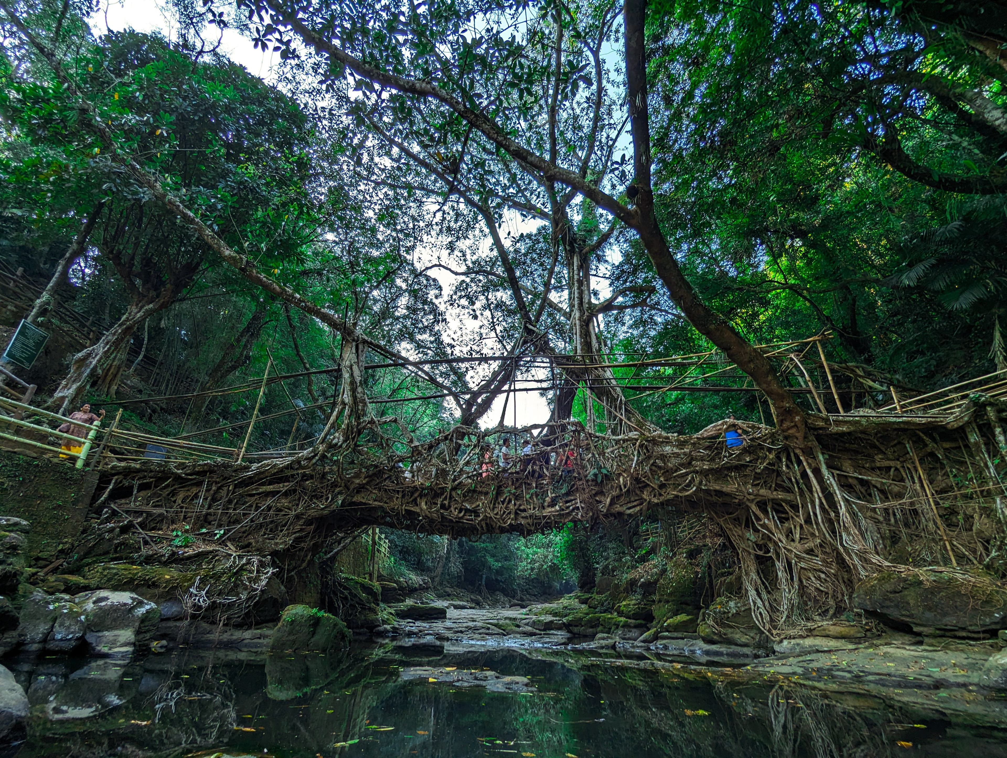 Meghalaya travel view 5
