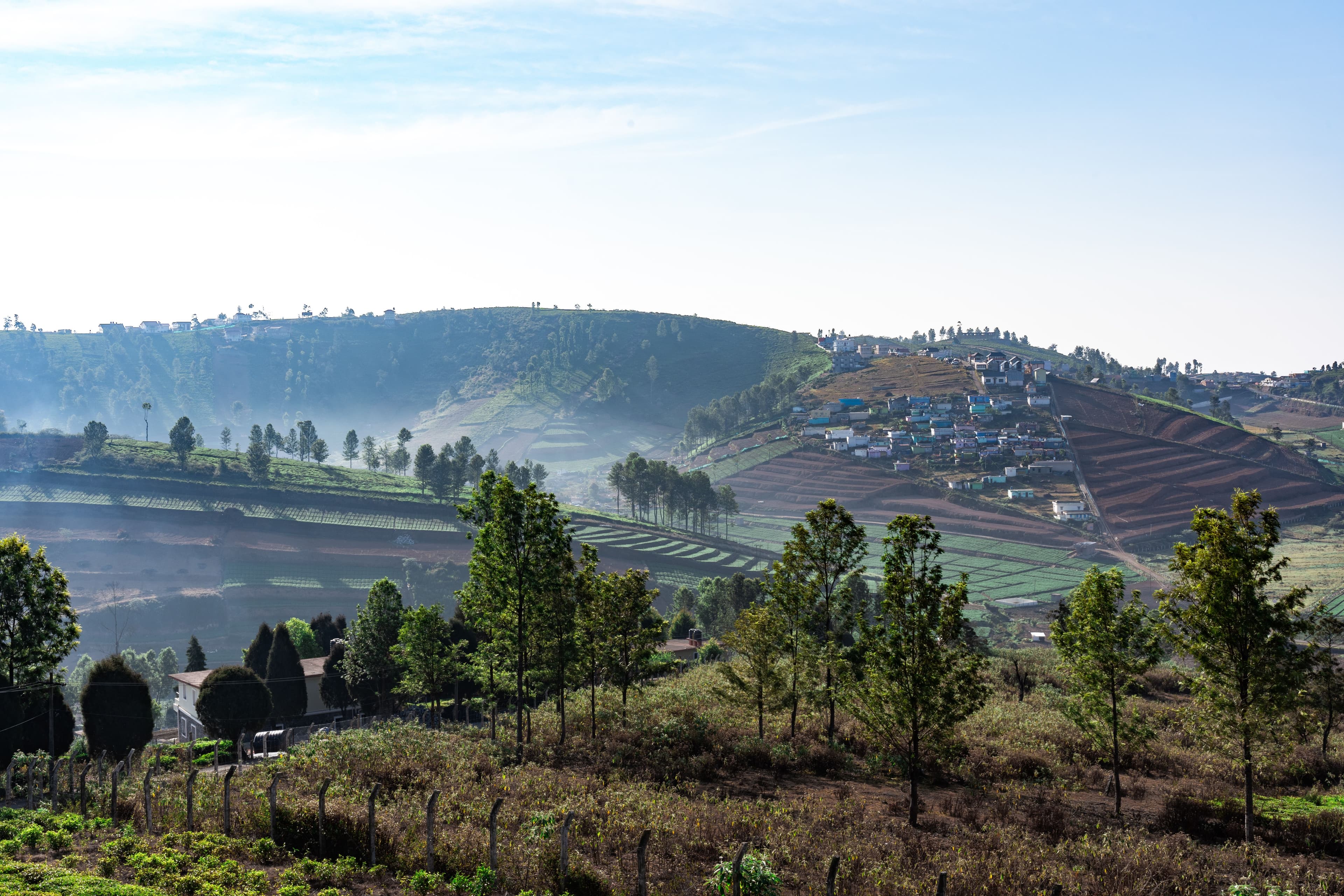 Ooty & Mysore travel view 5