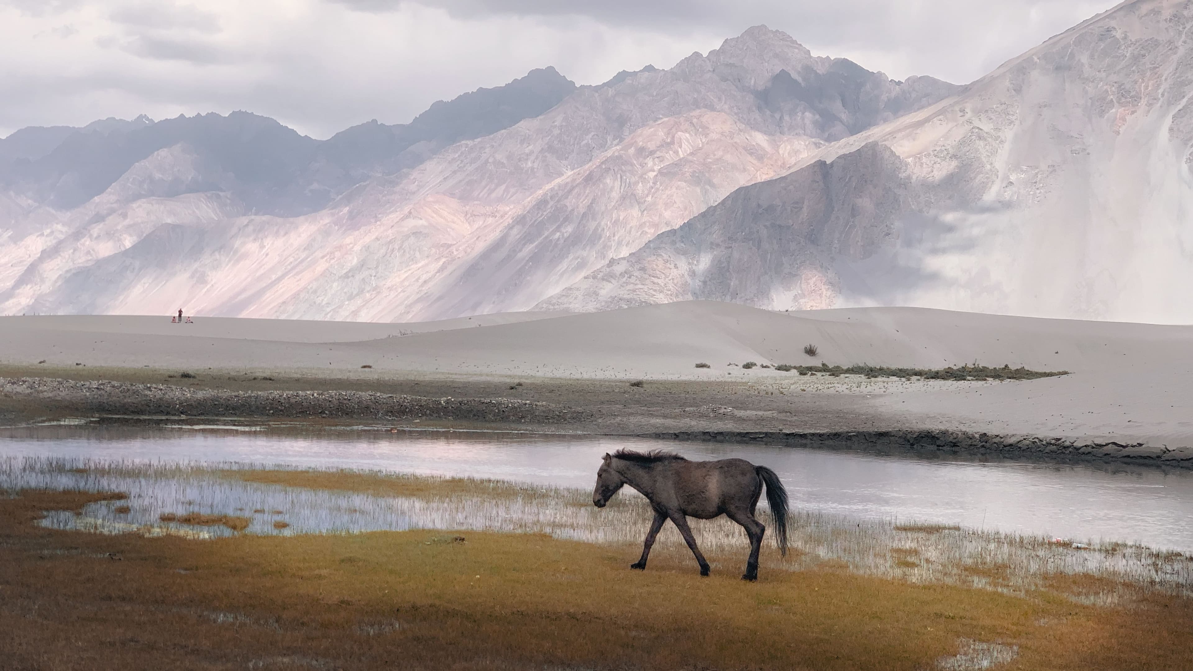 Leh travel view 3