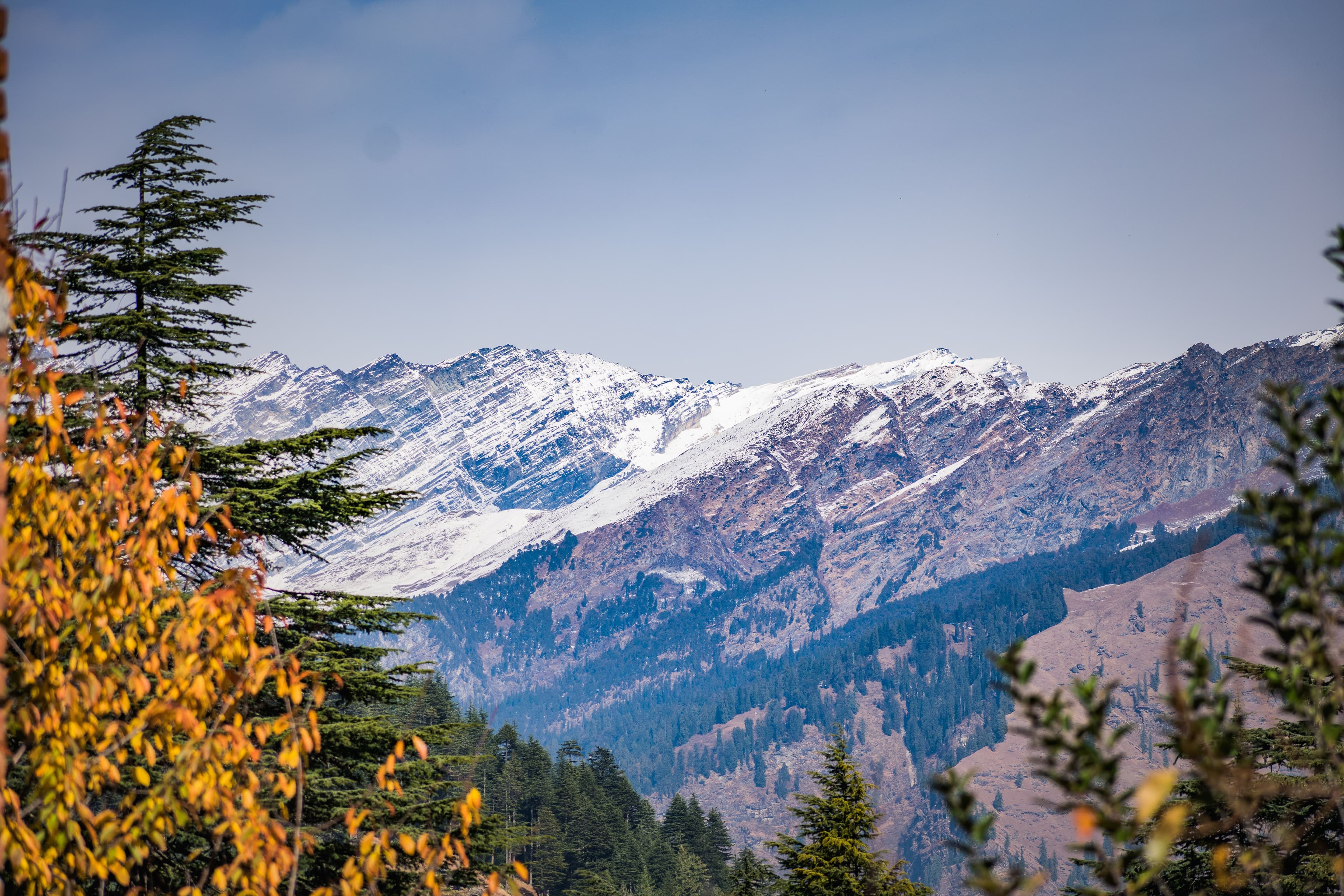 Royal Himachal & Amritsar Escape
