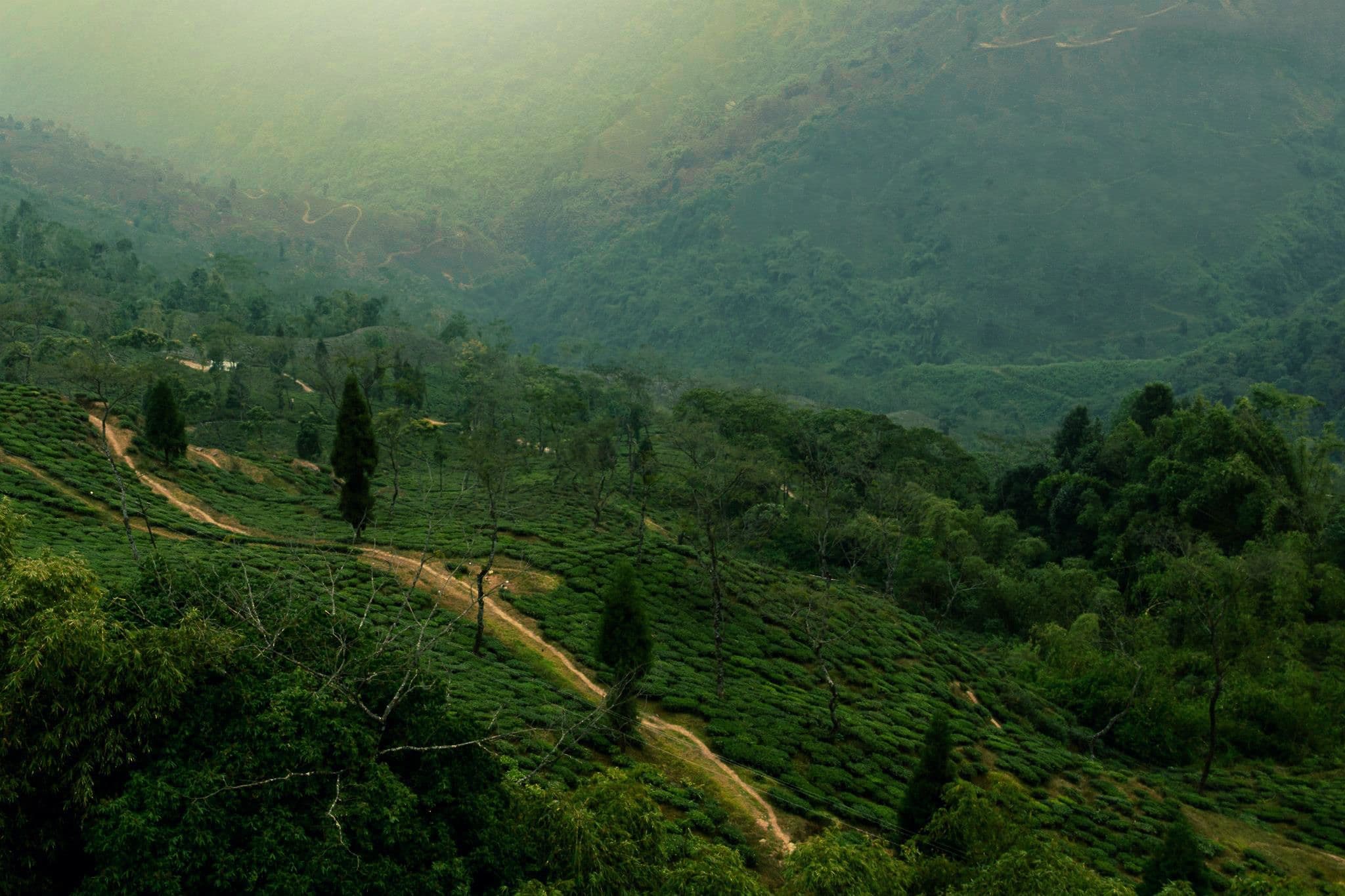 Sikkim & Darjeeling Himalayan Escape