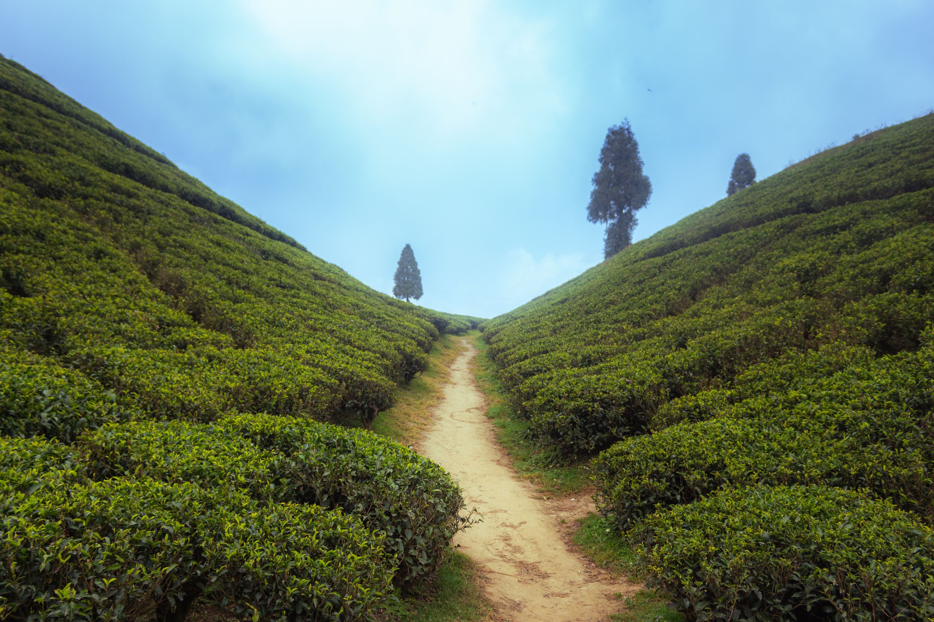 Sikkim & Darjeeling Himalayan Escape — travel moment 5