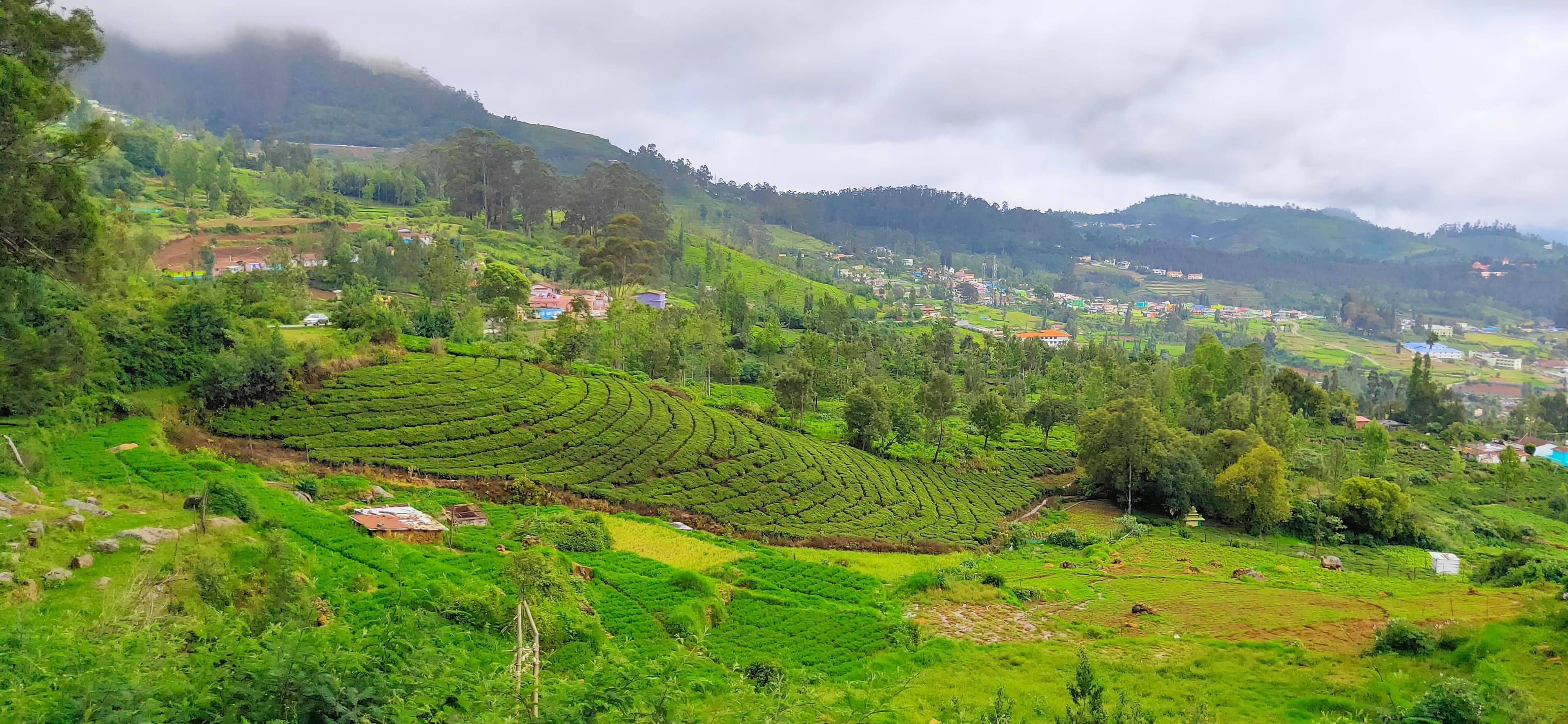 Coorg & Ooty South India Hill Escape