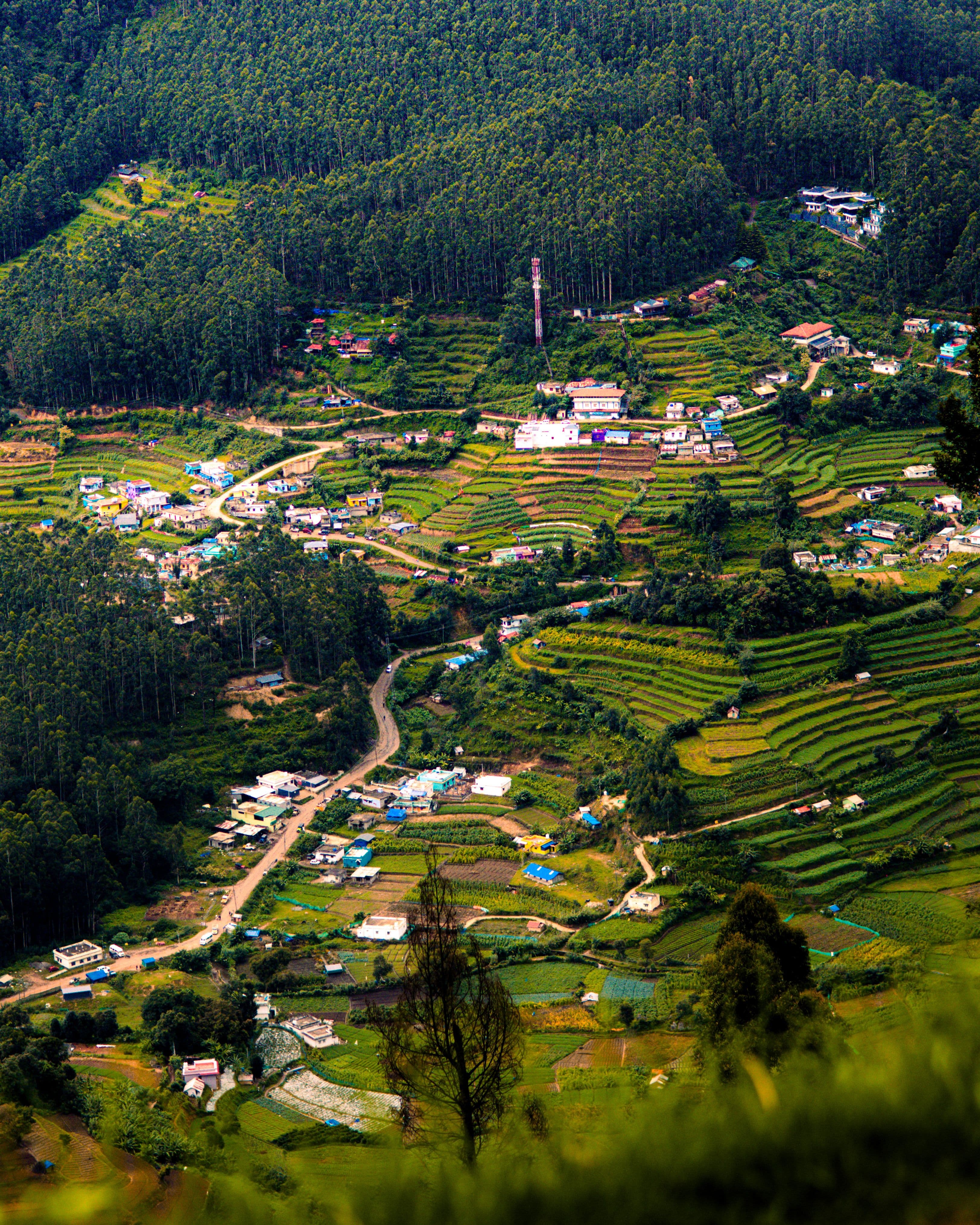 Coorg & Ooty South India Hill Escape — travel moment 2