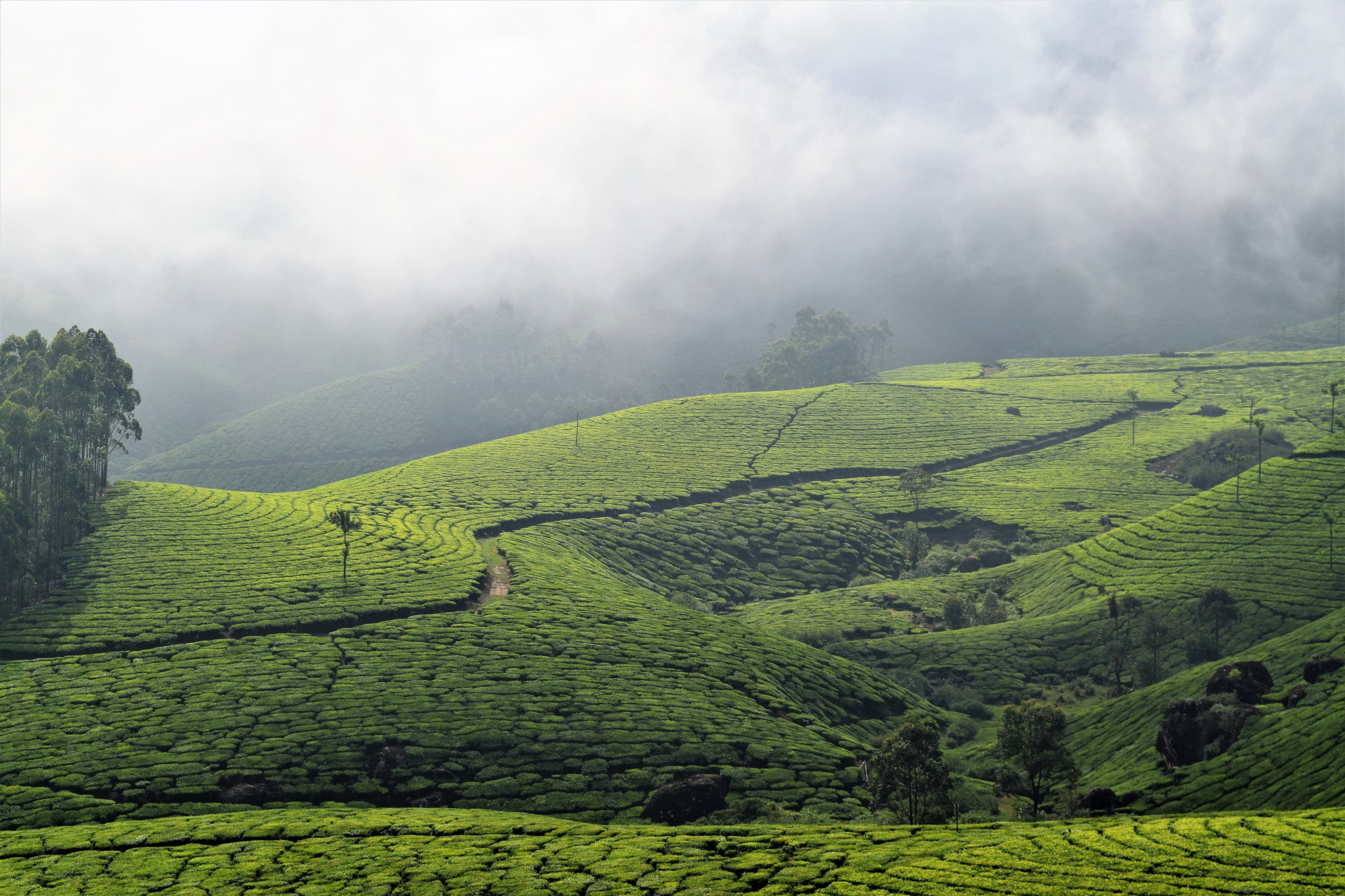Kerala & Kanyakumari Scenic Escape — travel moment 5