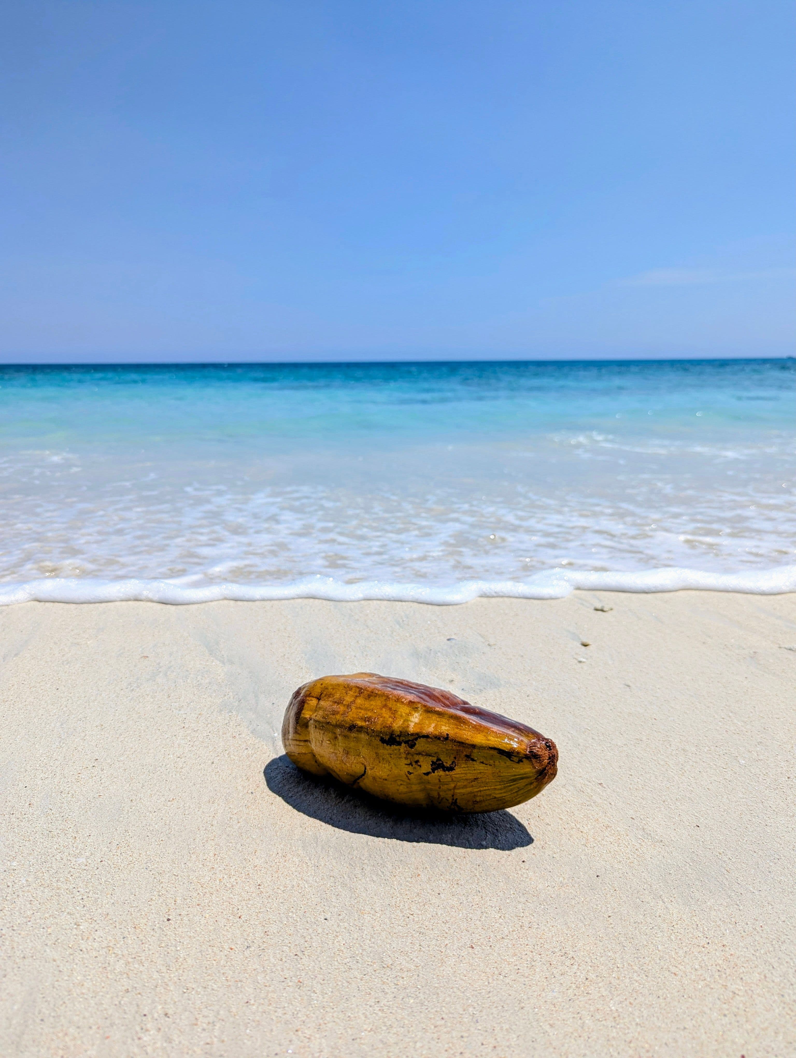 Andaman Island Paradise Escape — travel moment 2