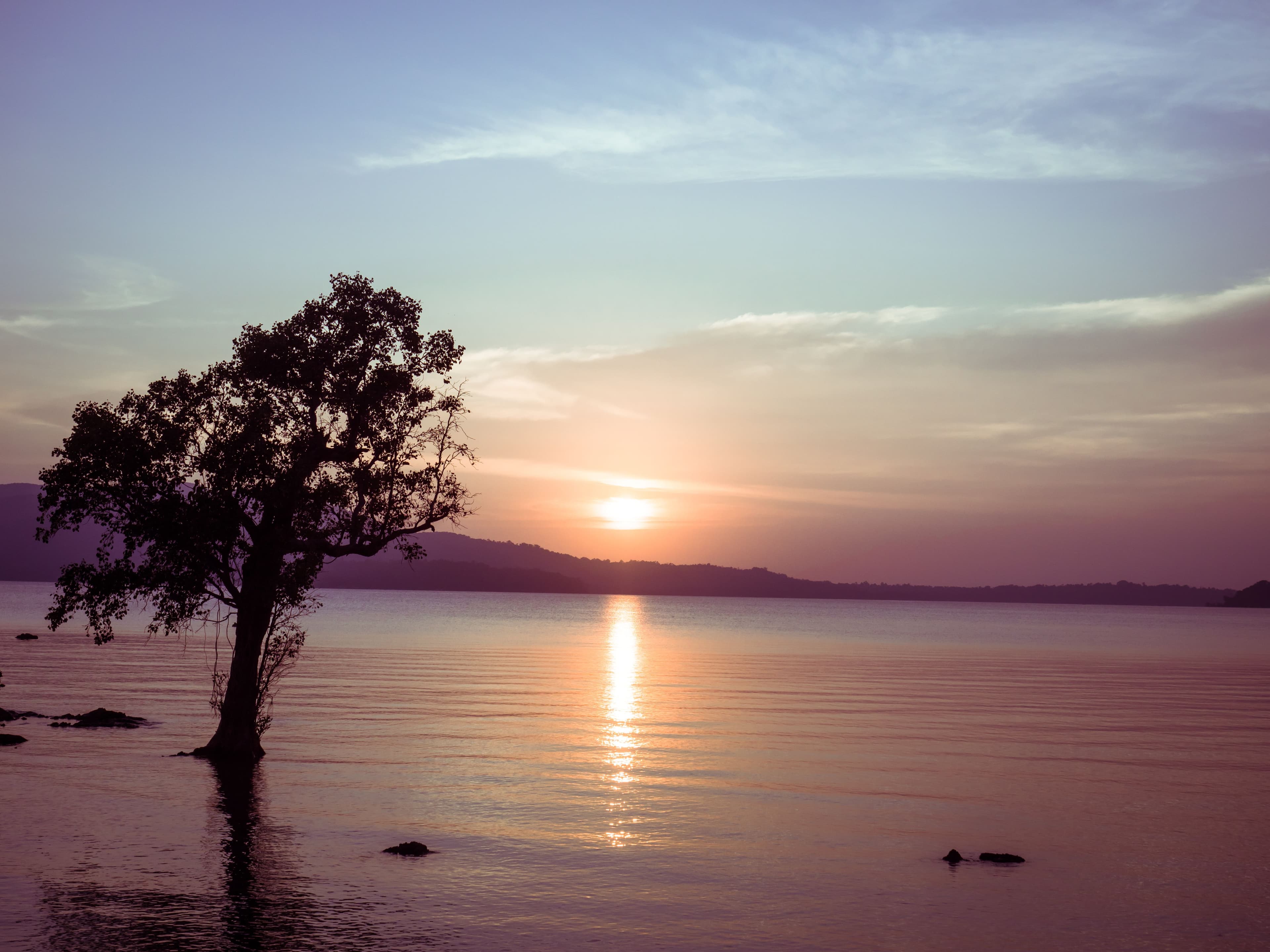 Andaman Island Paradise Escape — travel moment 7