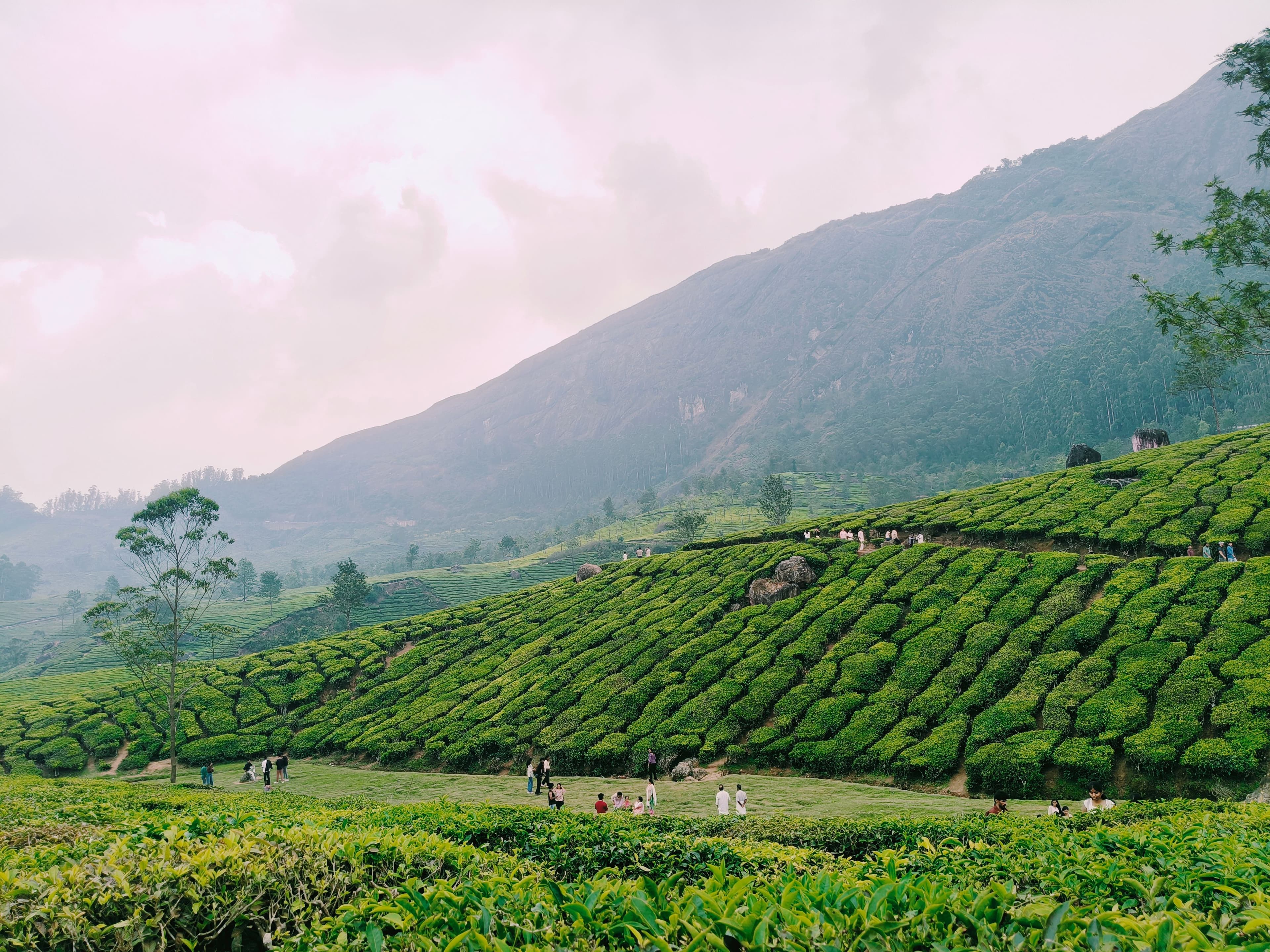 Kerala travel view 4