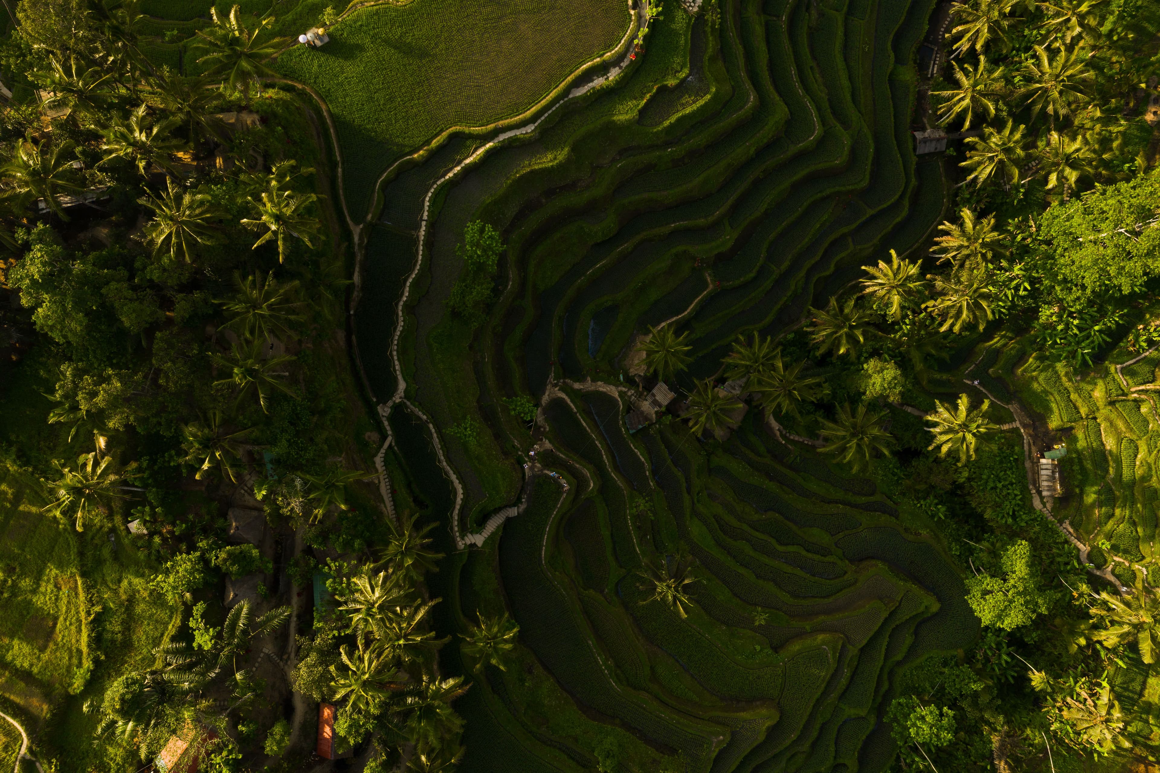 Bali destination