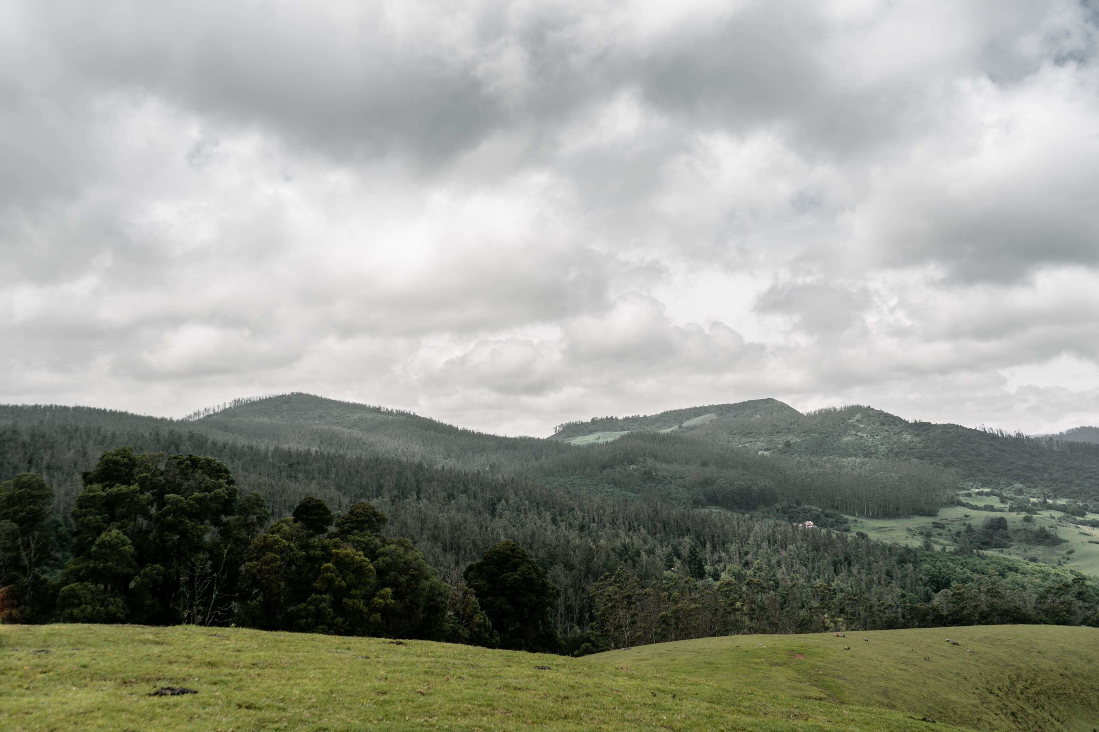 Ooty & Mysore destination